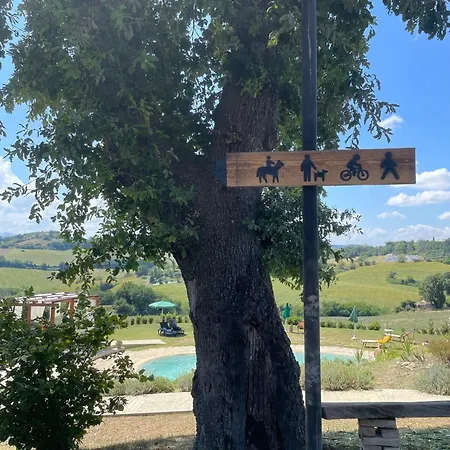 Montebello * Grottazzolina