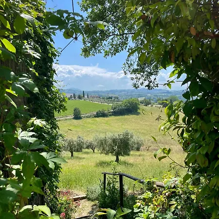 Montebello * Grottazzolina